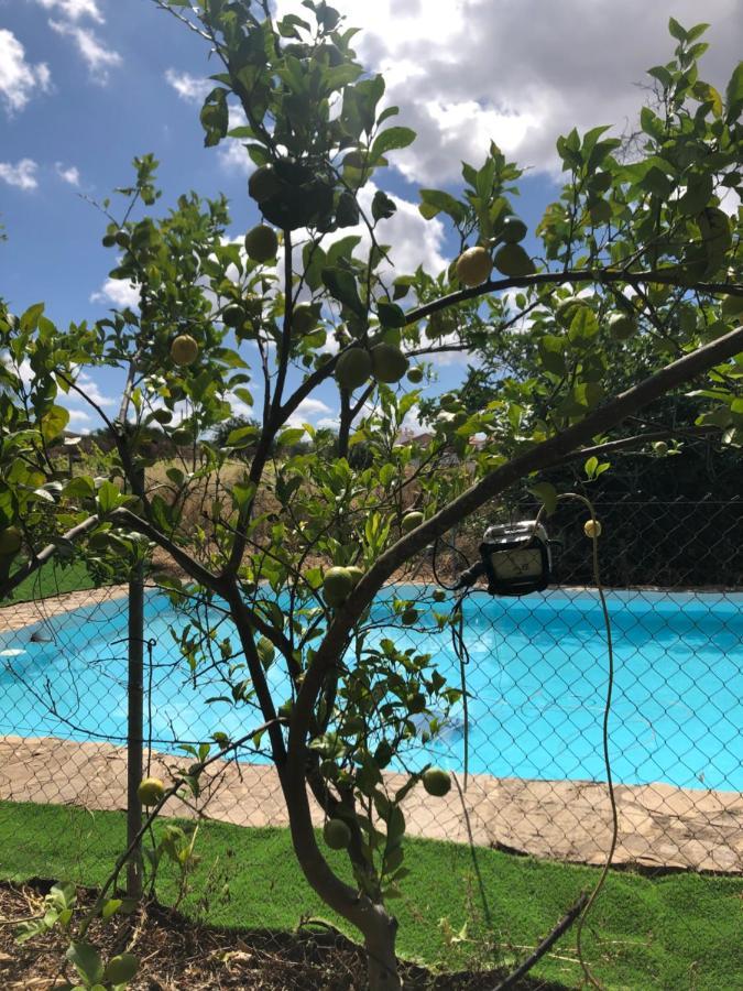 Vivienda Turistica La Huerta Βίλα Guadalcanal Εξωτερικό φωτογραφία